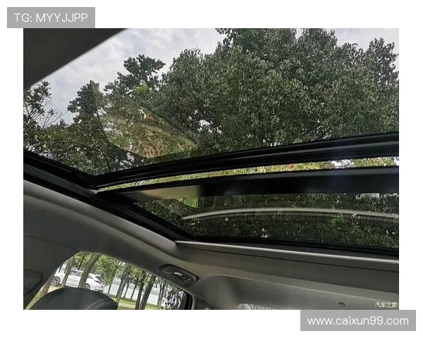 篮球的魅力:从技术提升到团队协作的全面解析与思考 篮球的魅力:从技术提升到团队协作的全面解析与思考