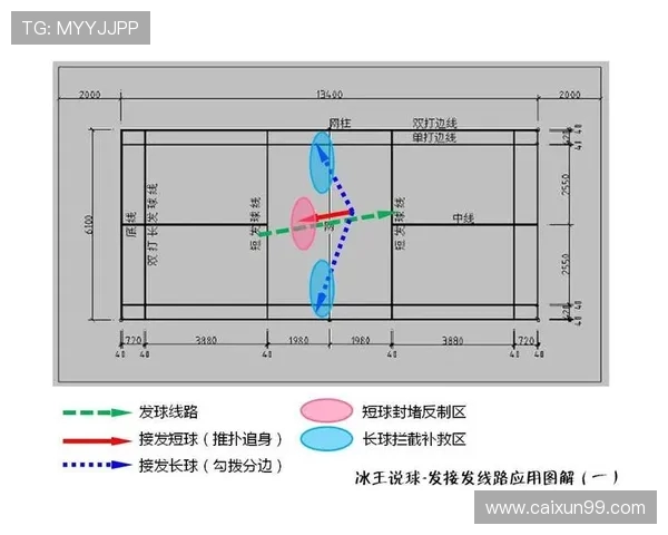 南京羽毛球队配合表现数据分析与战术优化研究