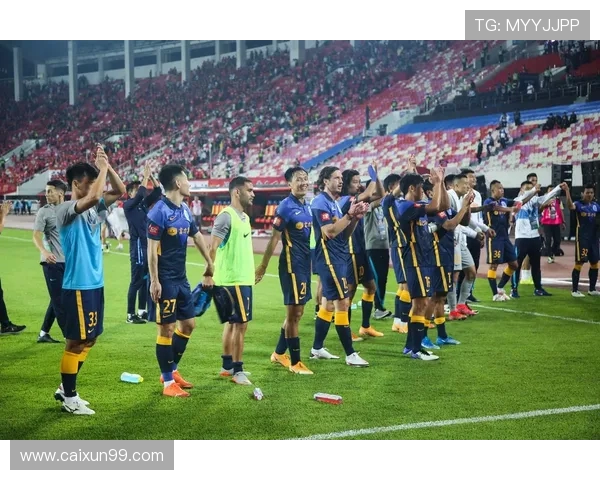 广州排球队实力解析：聚焦球队发展与未来挑战