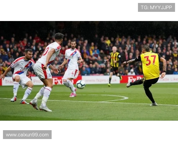 南安普敦主场迎战水晶宫双方争夺英超宝贵积分的激烈对决